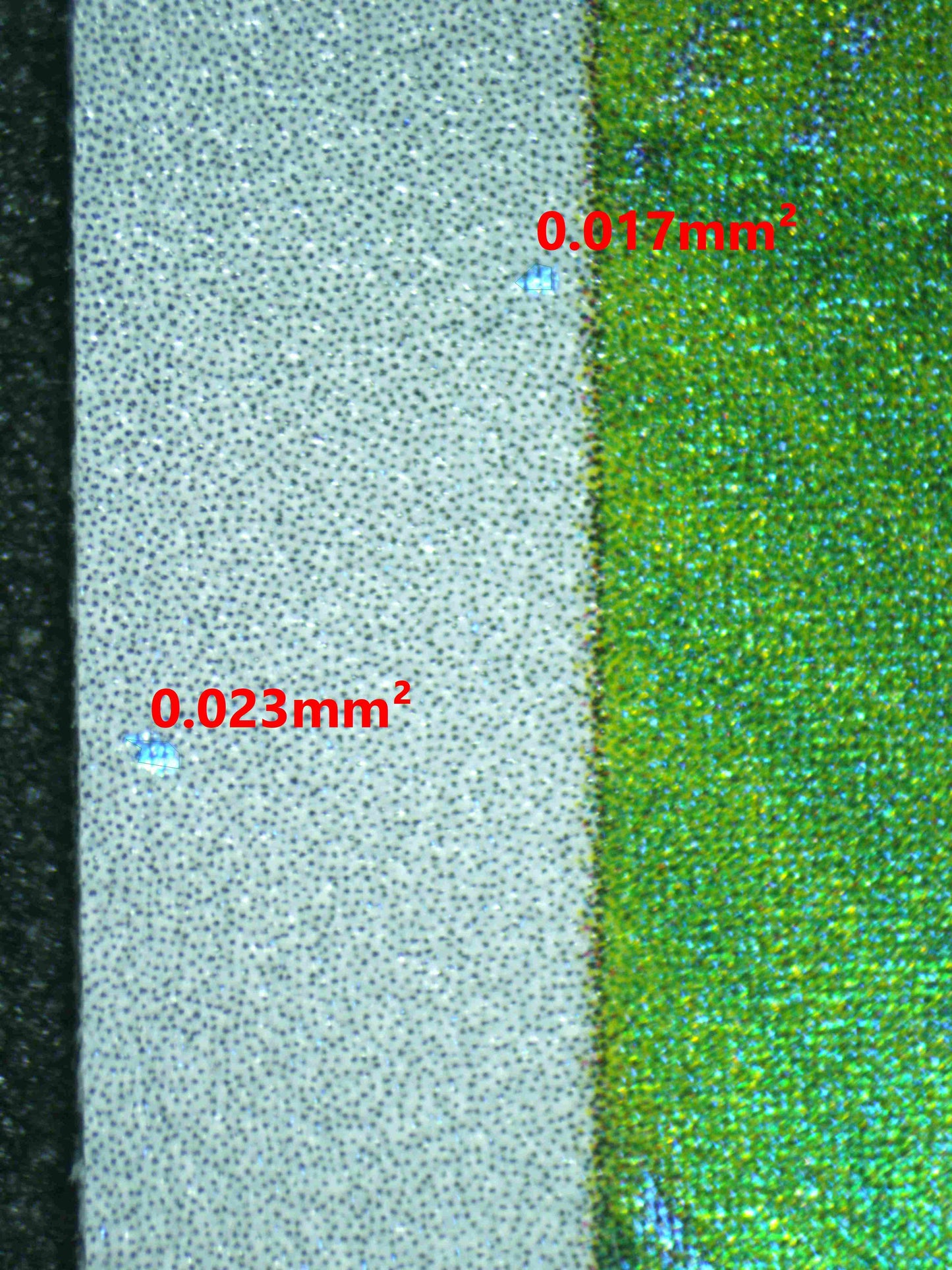 06172 BULBASAUR Grading Card