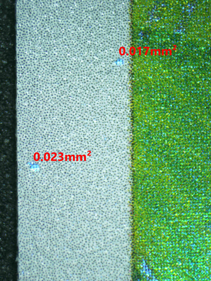 06172 BULBASAUR Grading Card