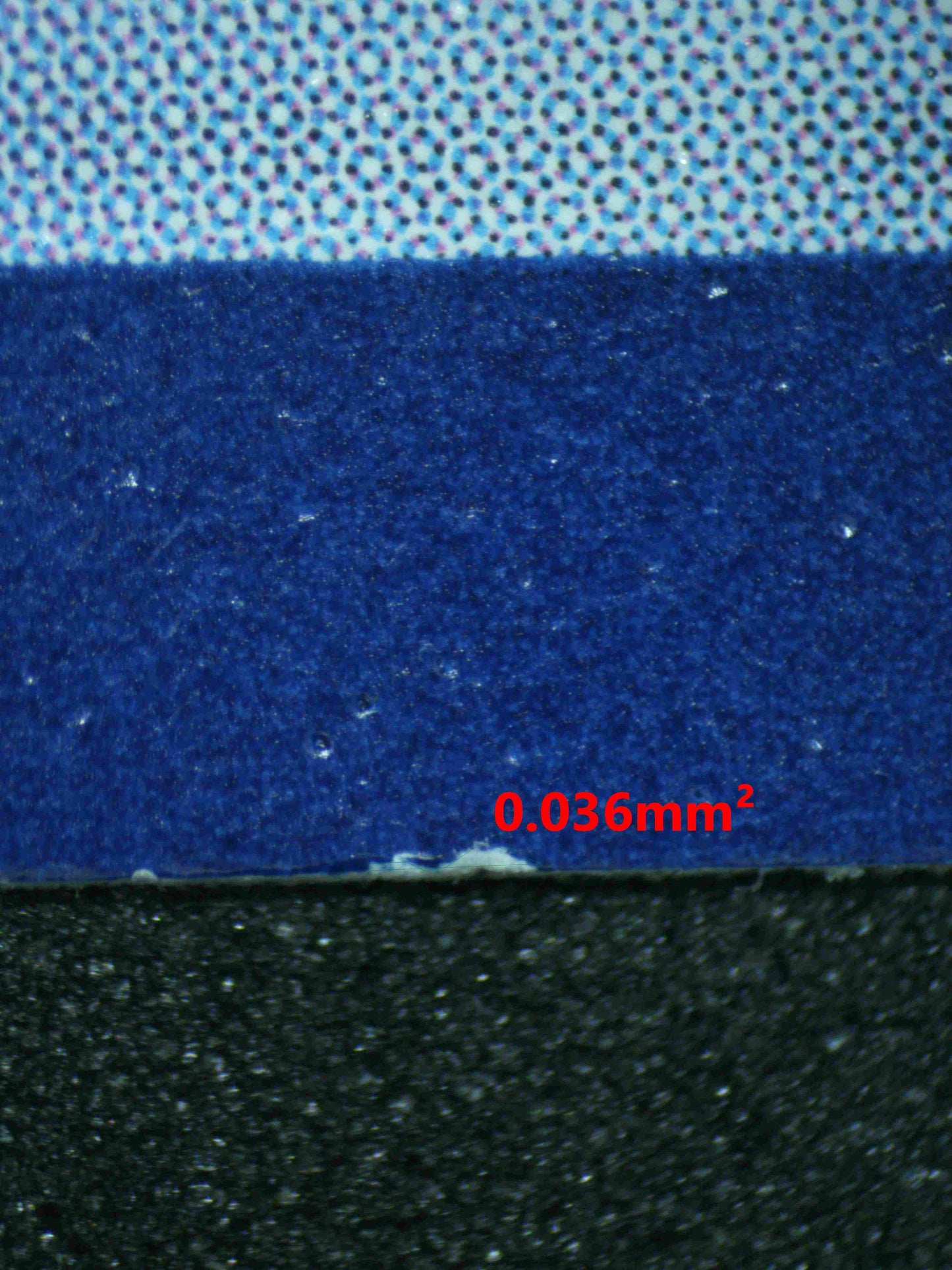 06172 BULBASAUR Grading Card