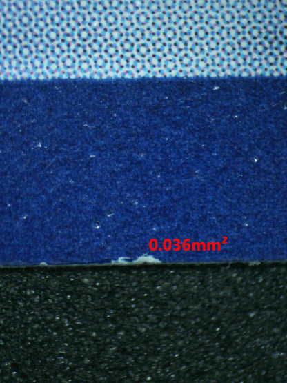 06172 BULBASAUR Grading Card