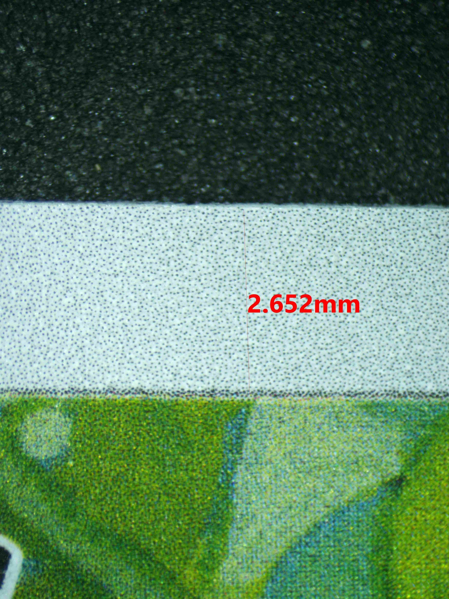 06172 BULBASAUR Grading Card