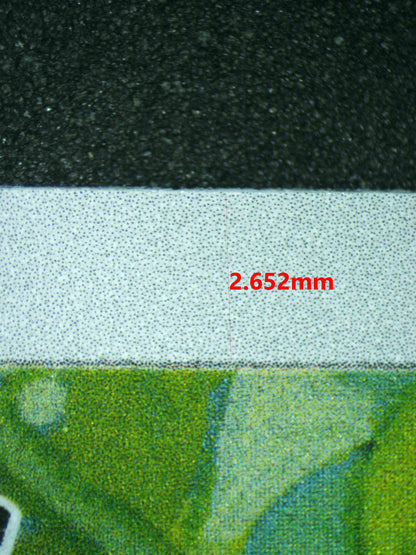 06172 BULBASAUR Grading Card