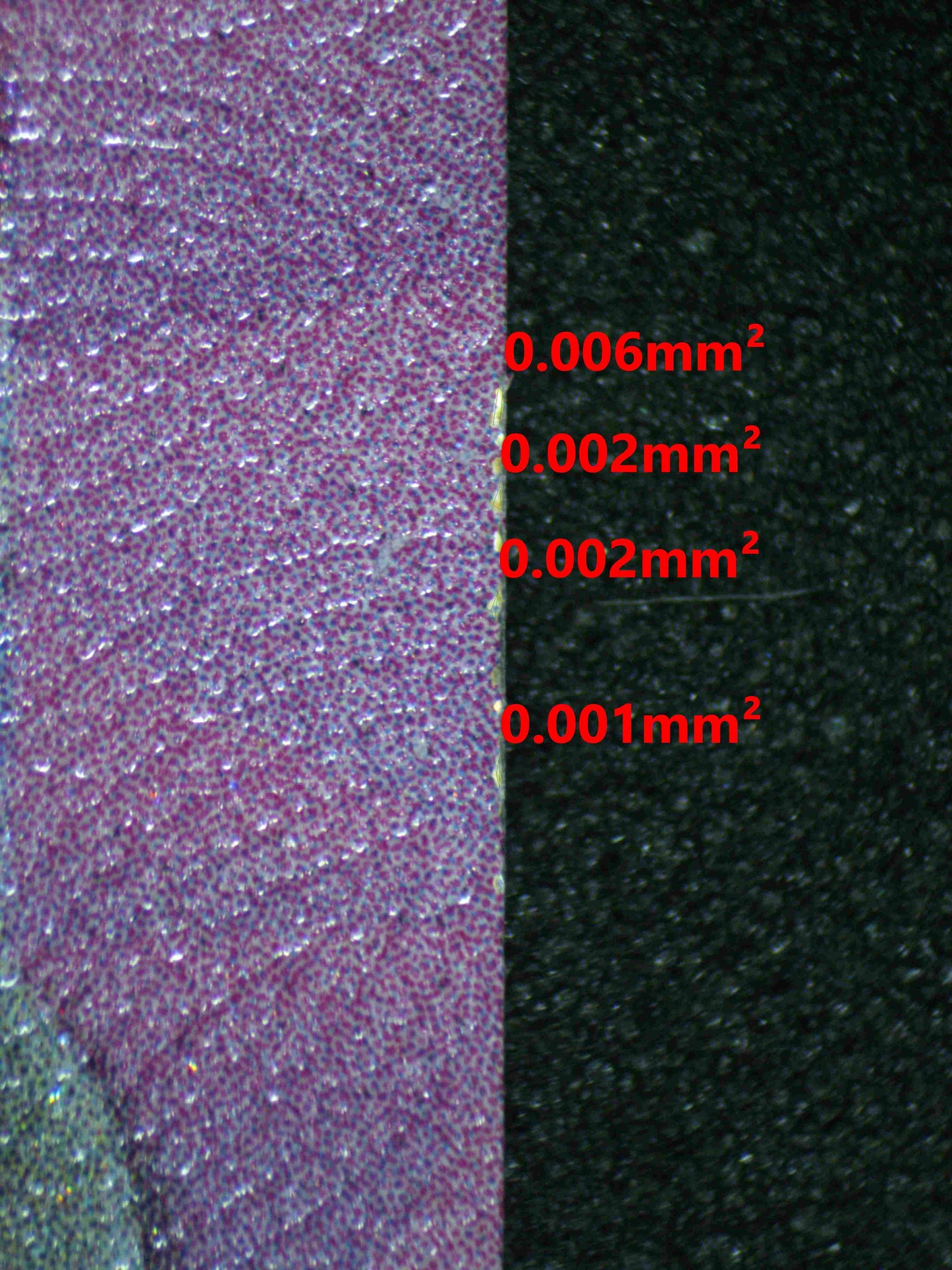 06144 ALOLAN EXEGGUTOR EX Grading Card