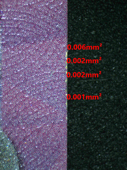 06144 ALOLAN EXEGGUTOR EX Grading Card