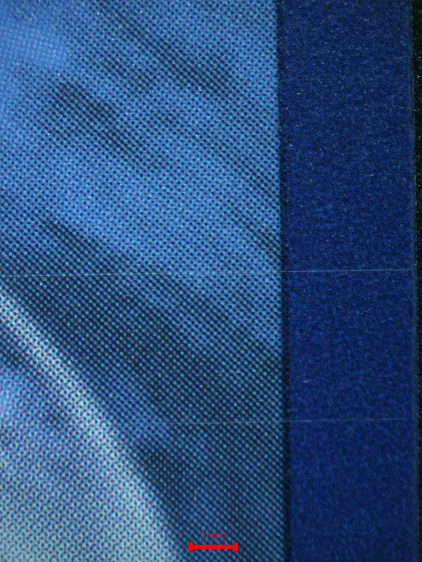 06146 WALKING WAKE EX Grading Card