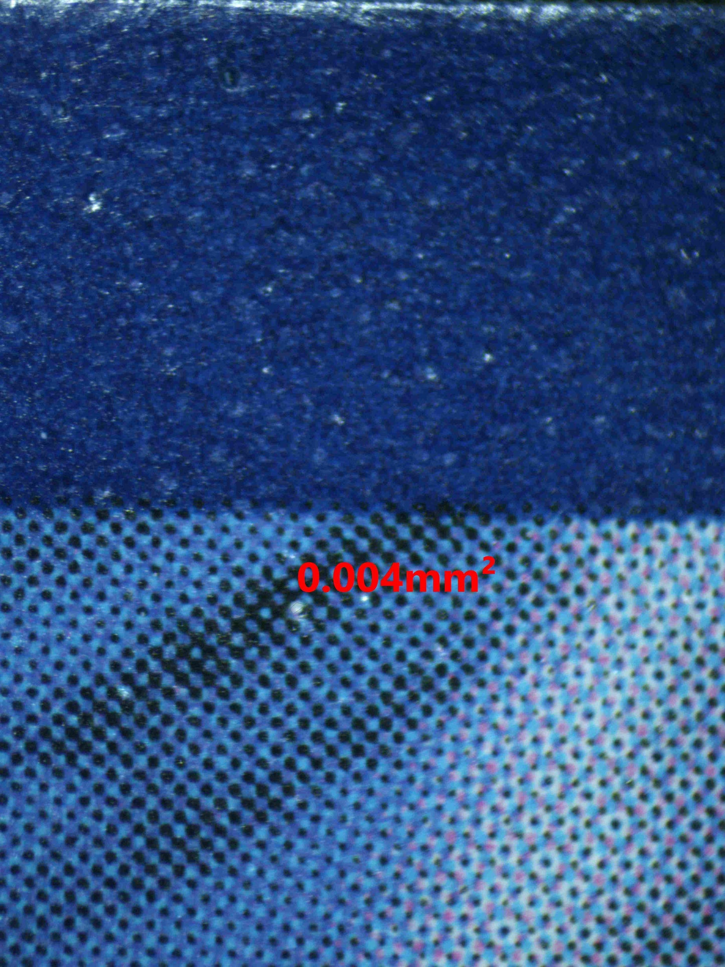 06153 TANGELA Grading Card