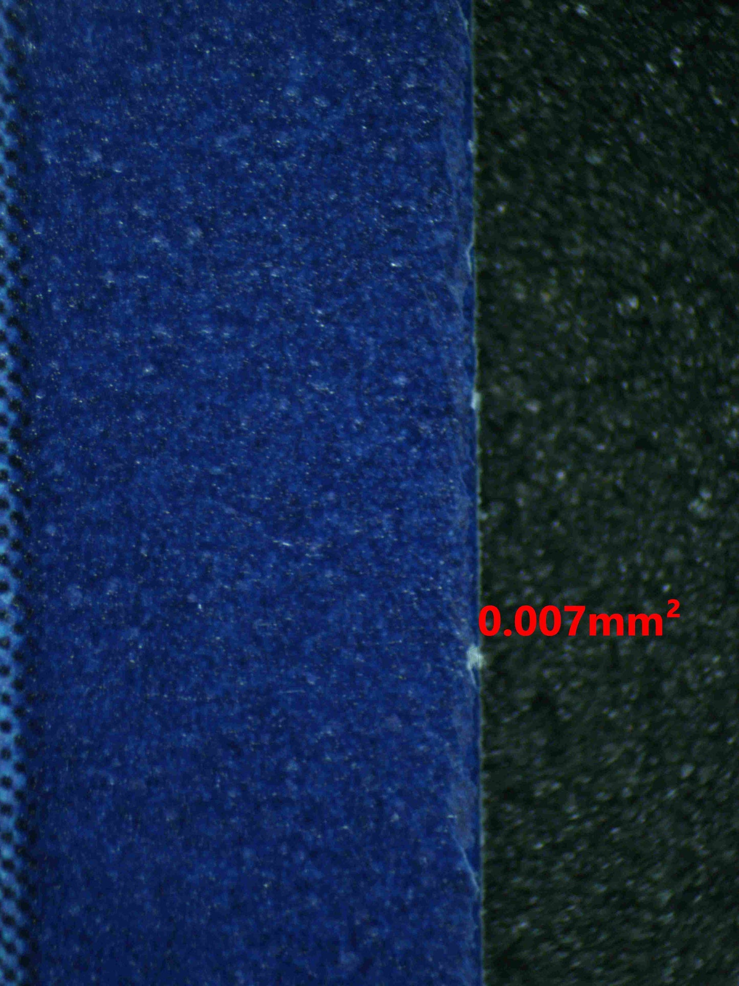 06153 TANGELA Grading Card