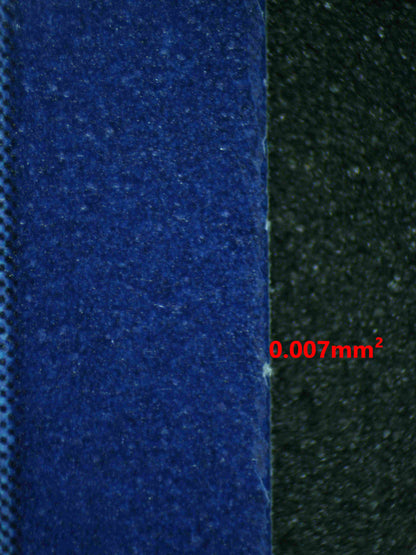 06153 TANGELA Grading Card