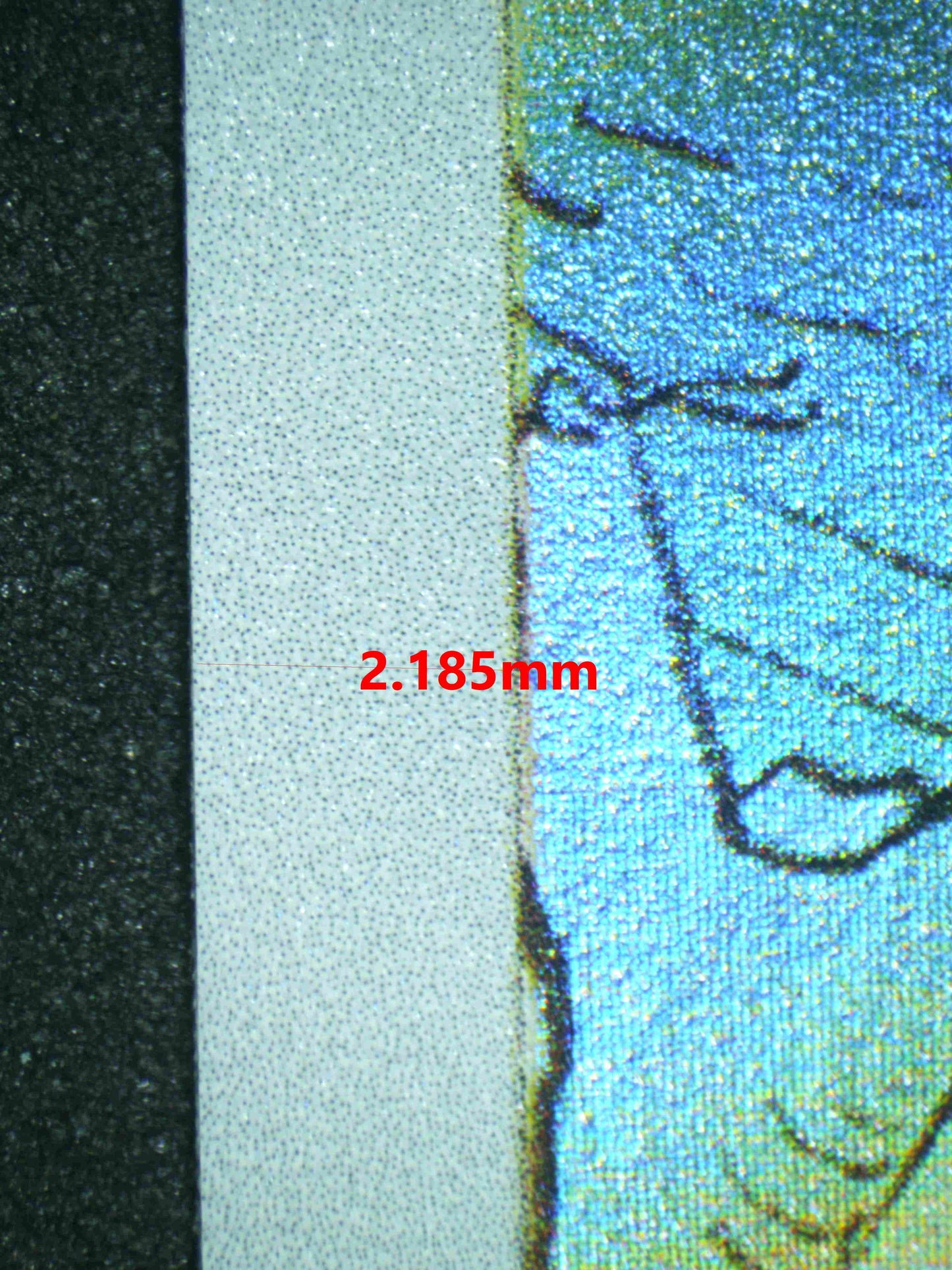 06153 TANGELA Grading Card