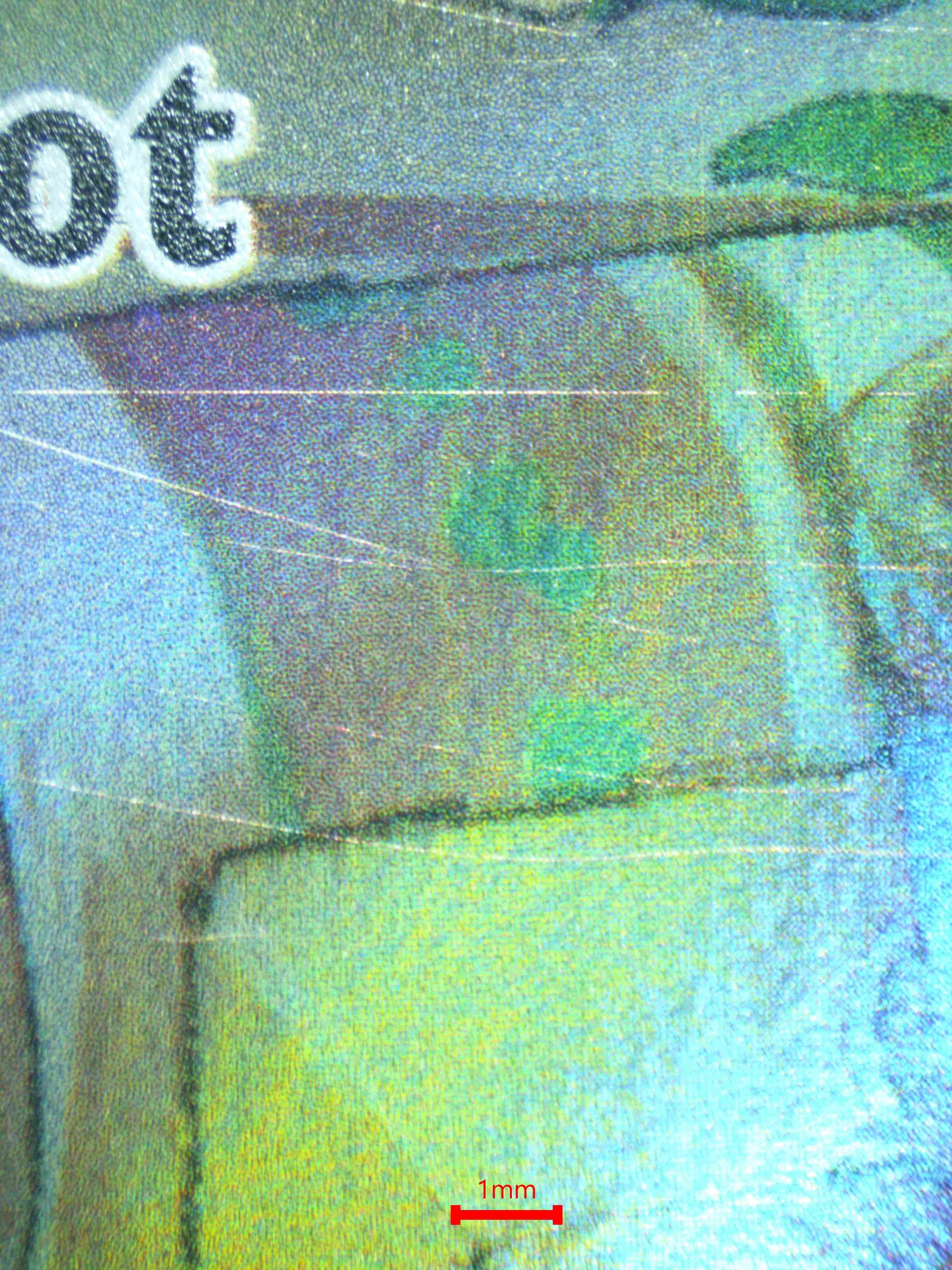 06155 RALTS Grading Card