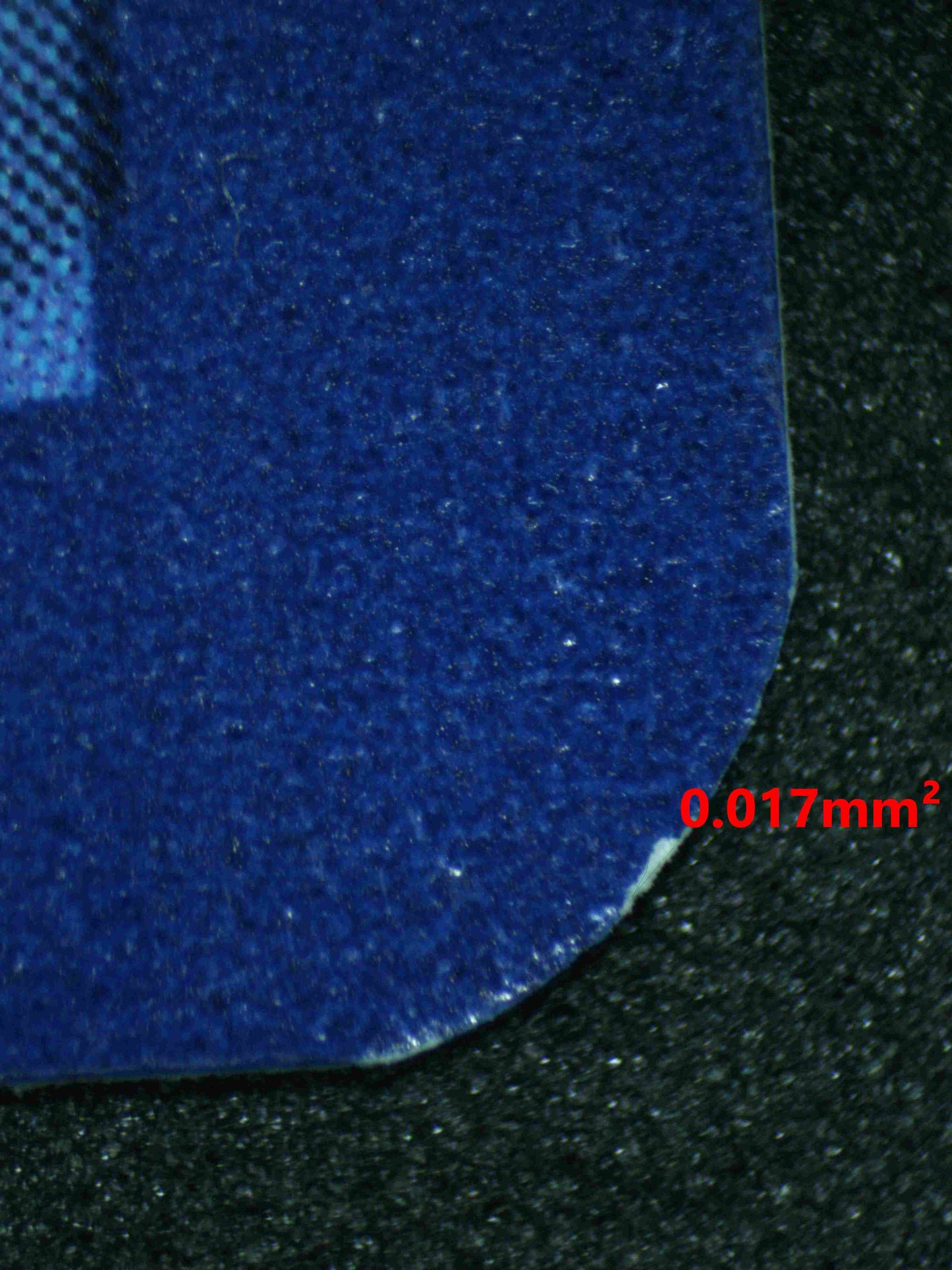 06155 RALTS Grading Card