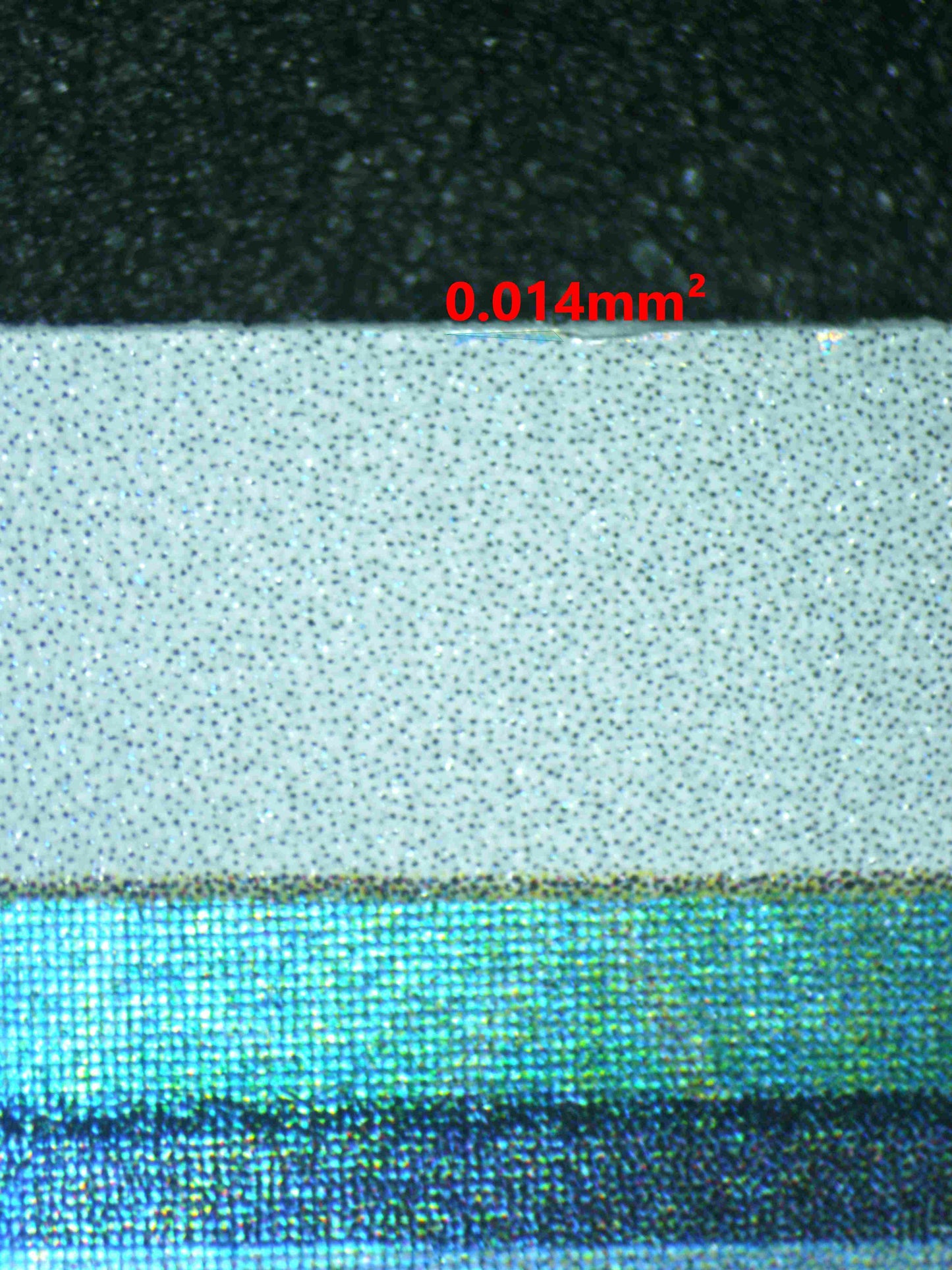 06155 RALTS Grading Card