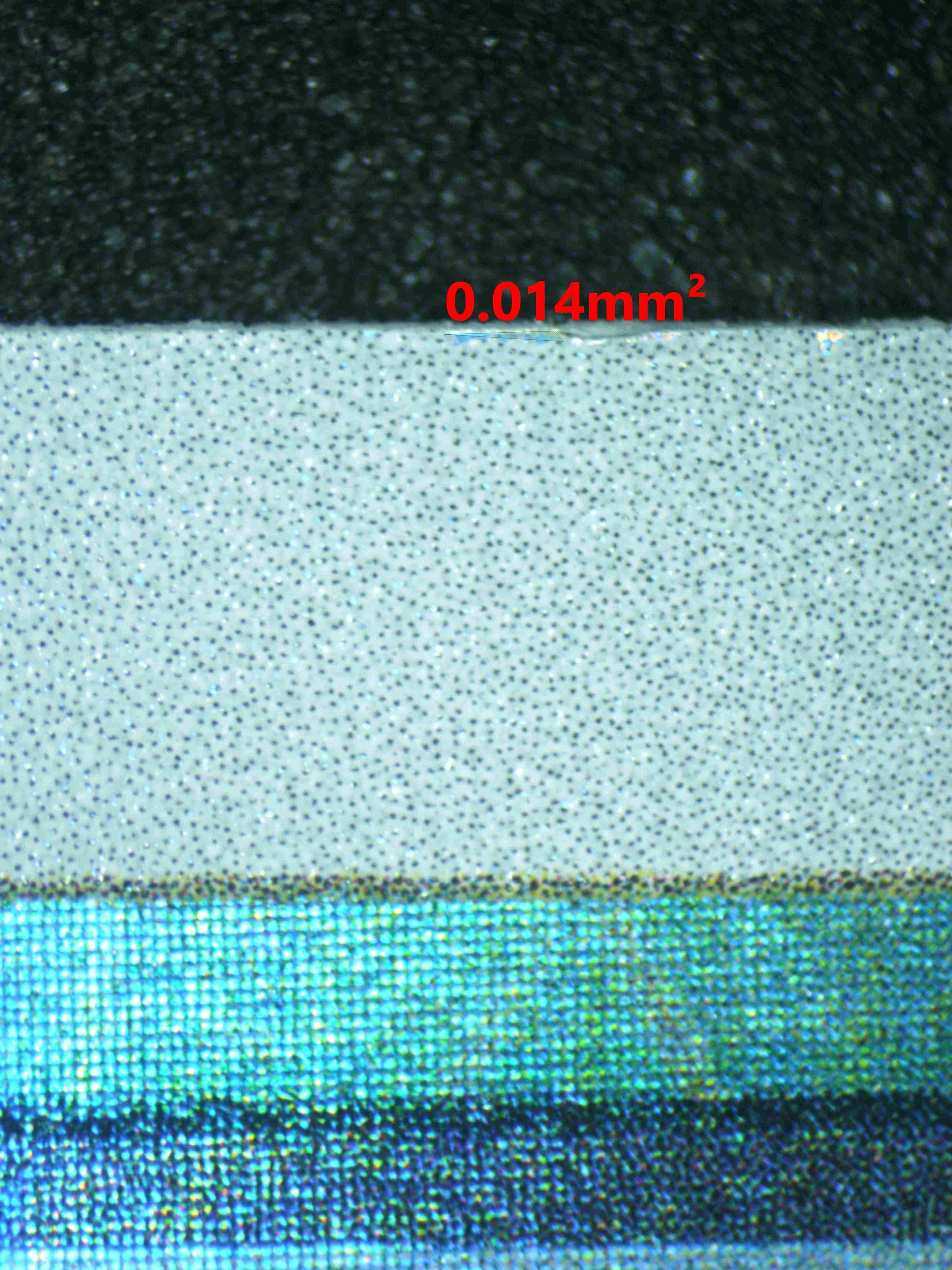 06155 RALTS Grading Card