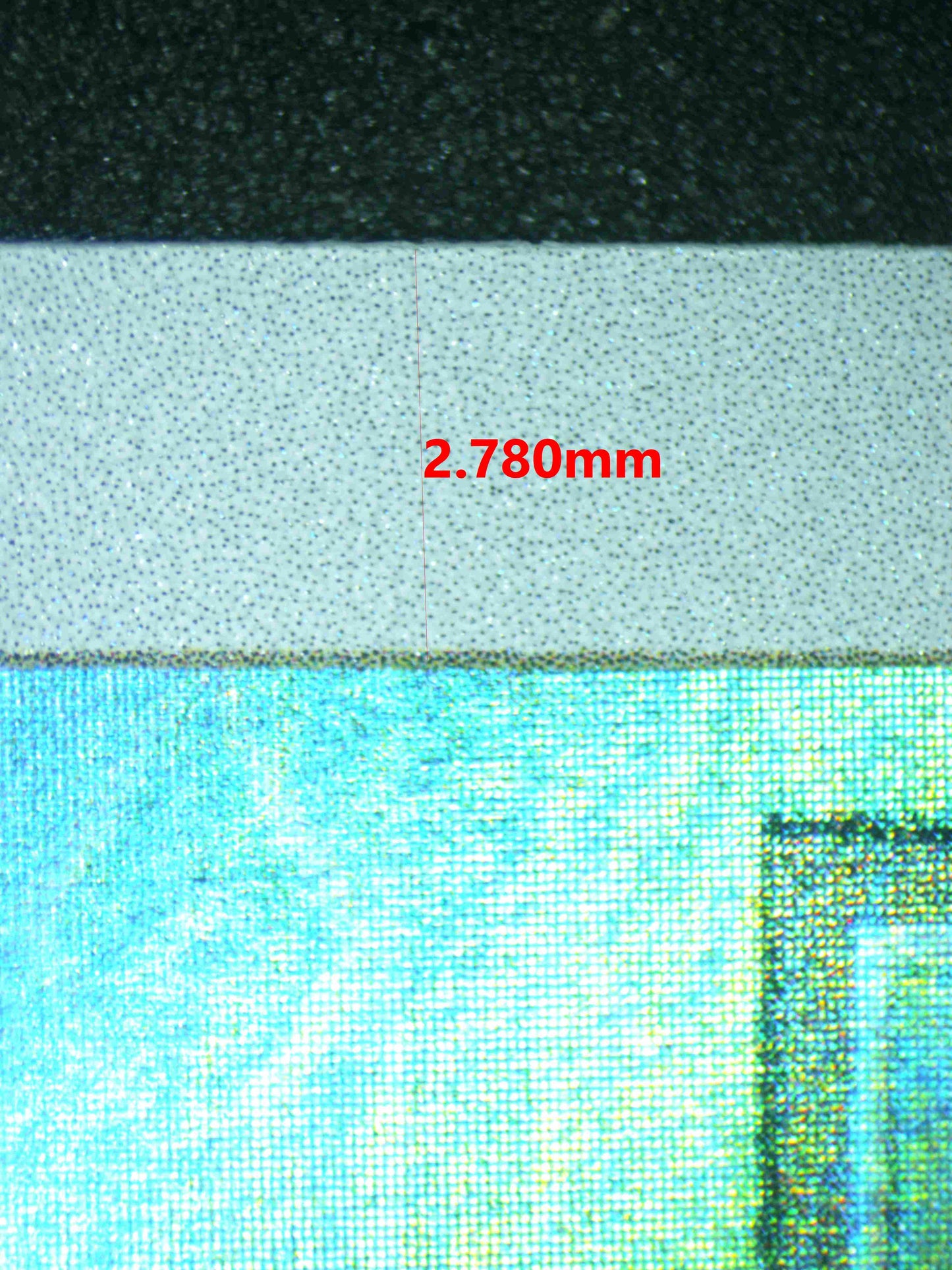 06155 RALTS Grading Card