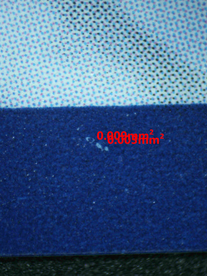 06178 GHOLDENGO EX Grading Card