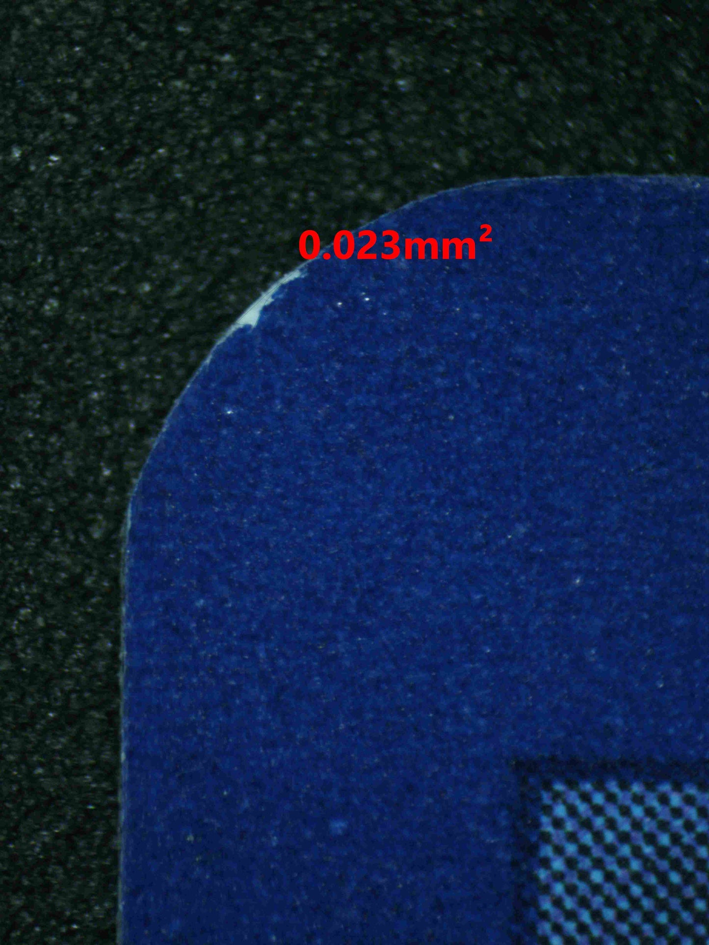 06179 CATERPIE Grading Card