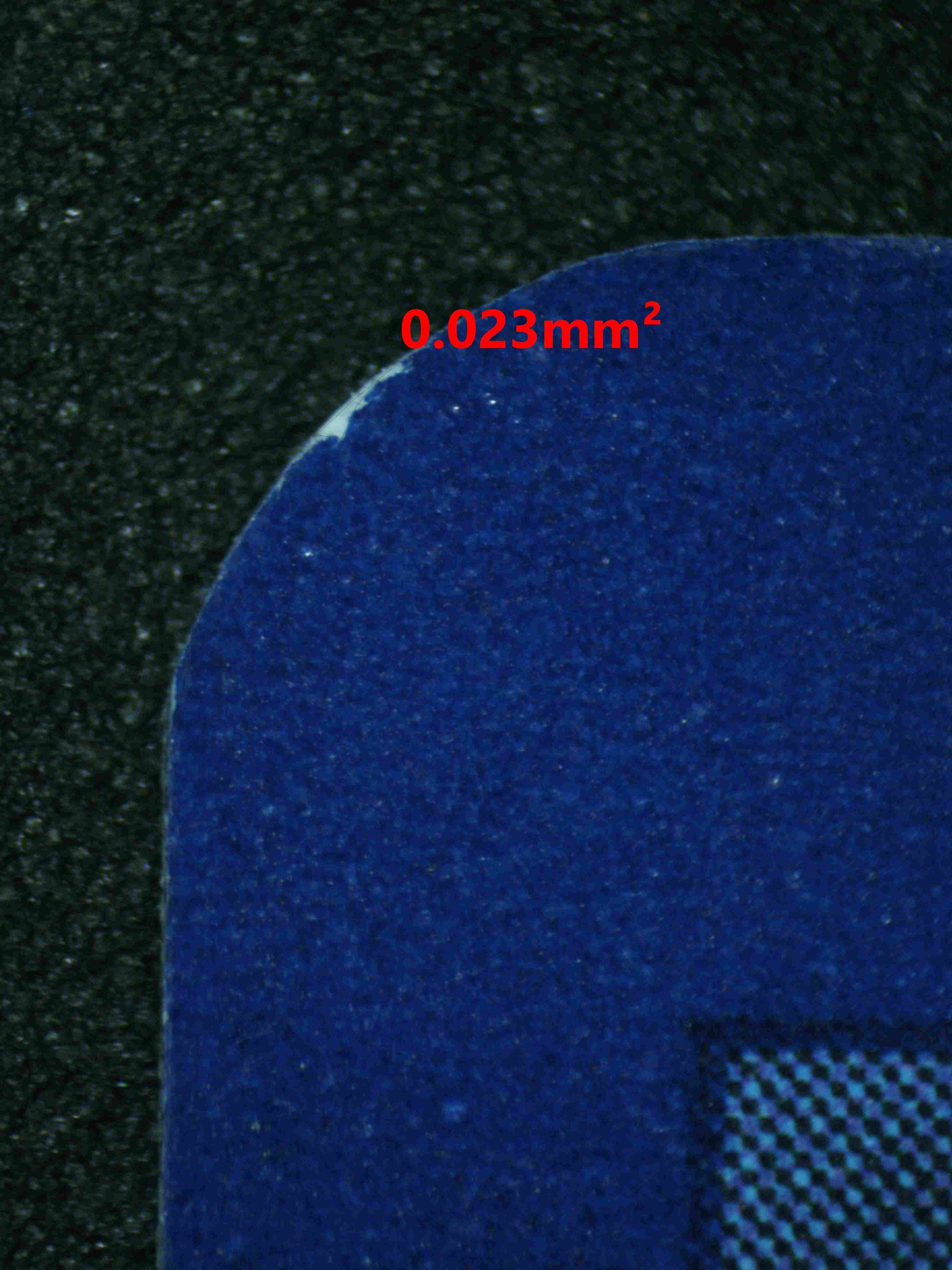 06179 CATERPIE Grading Card