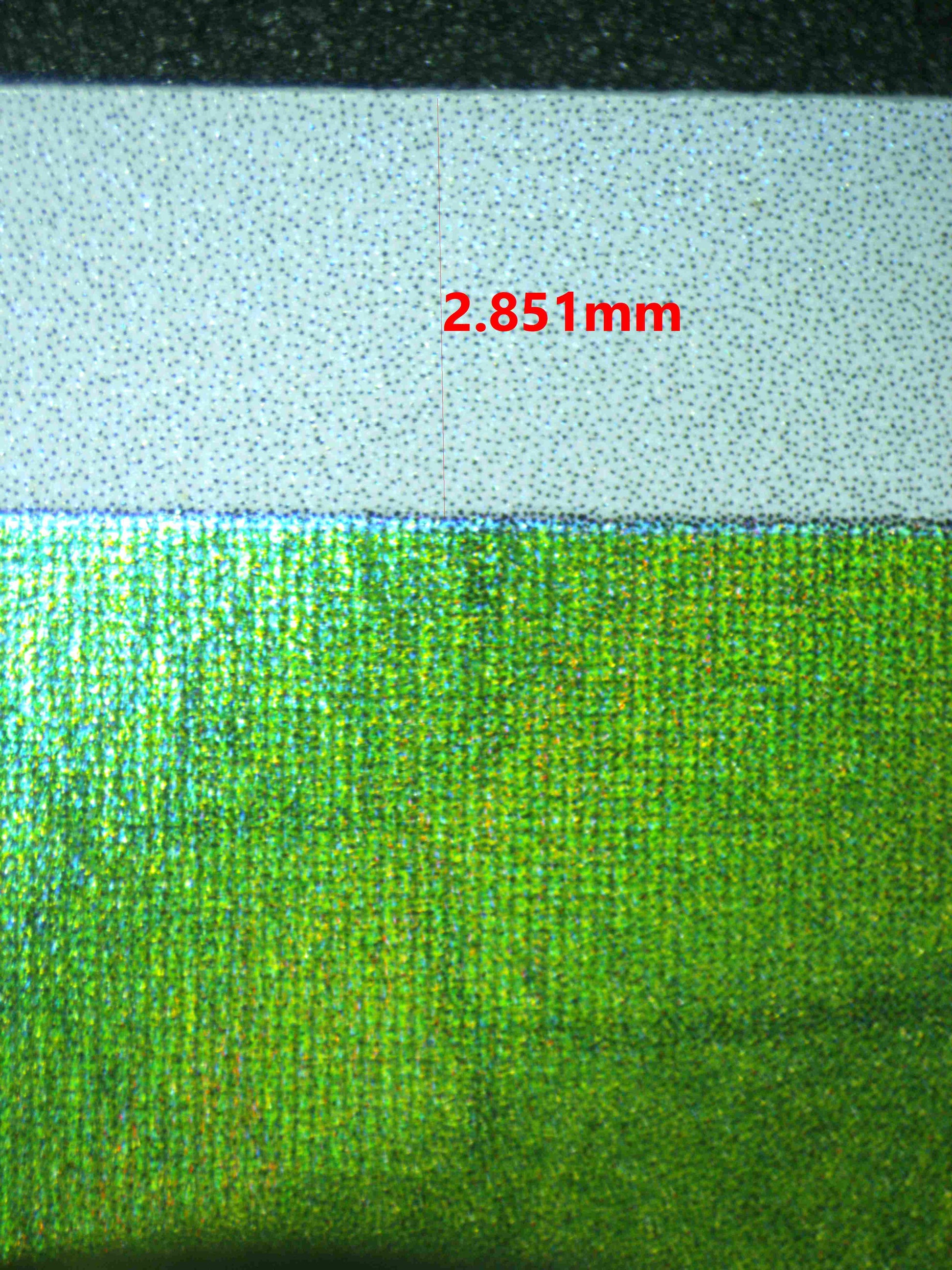 06179 CATERPIE Grading Card