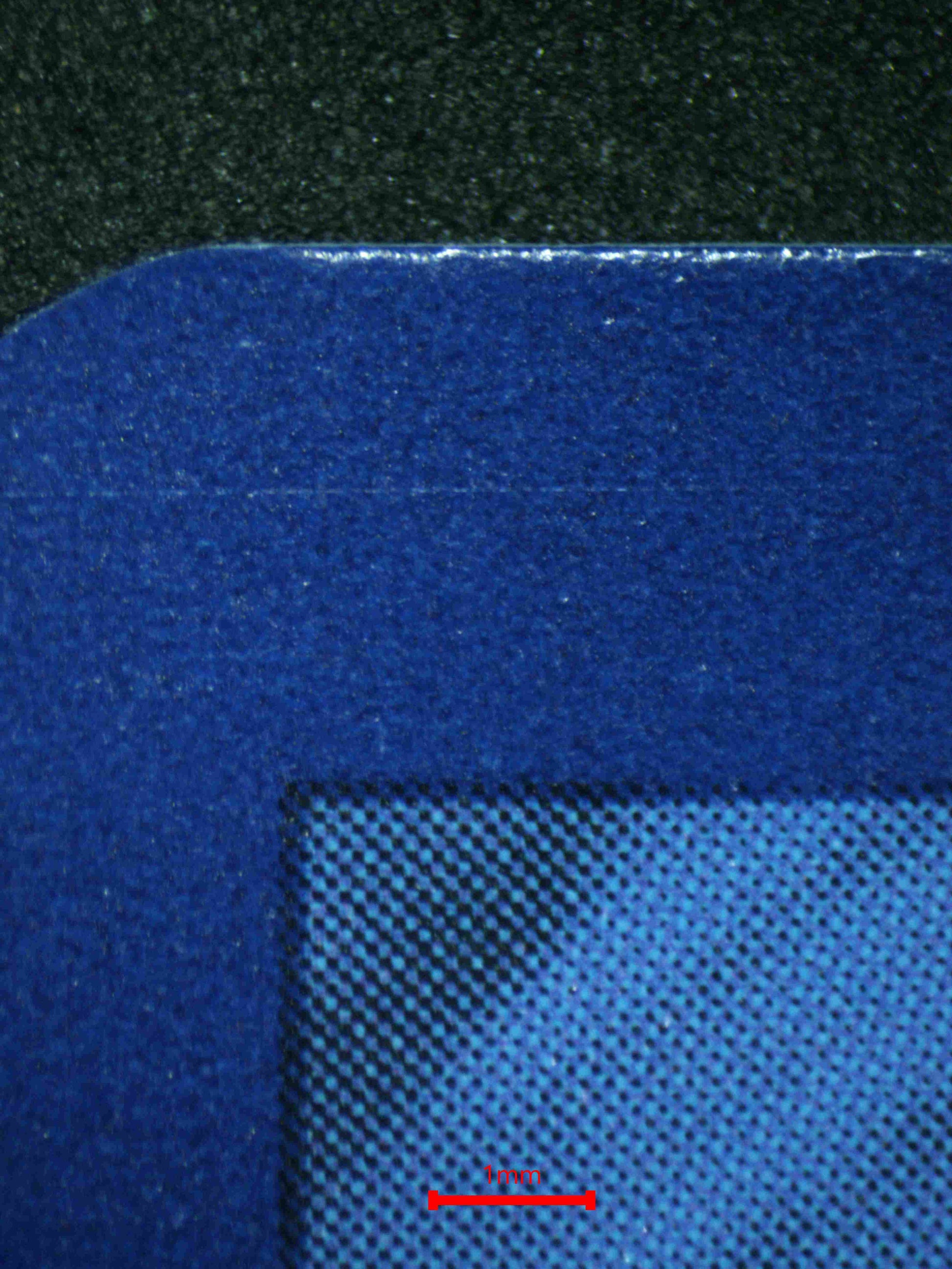 06180 ALOLAN EXEGGUTOR EX Grading Card