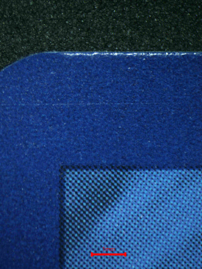 06180 ALOLAN EXEGGUTOR EX Grading Card