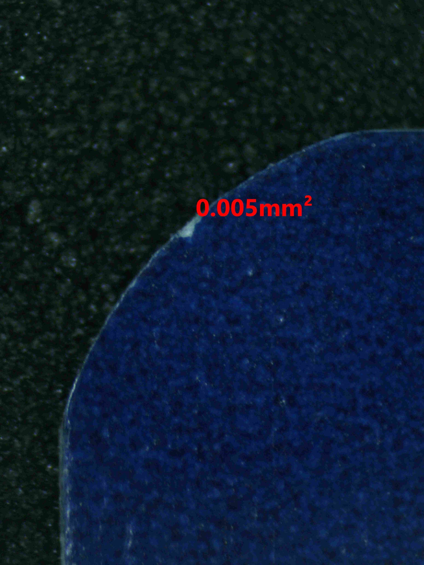 06181 MILOTIC EX Grading Card