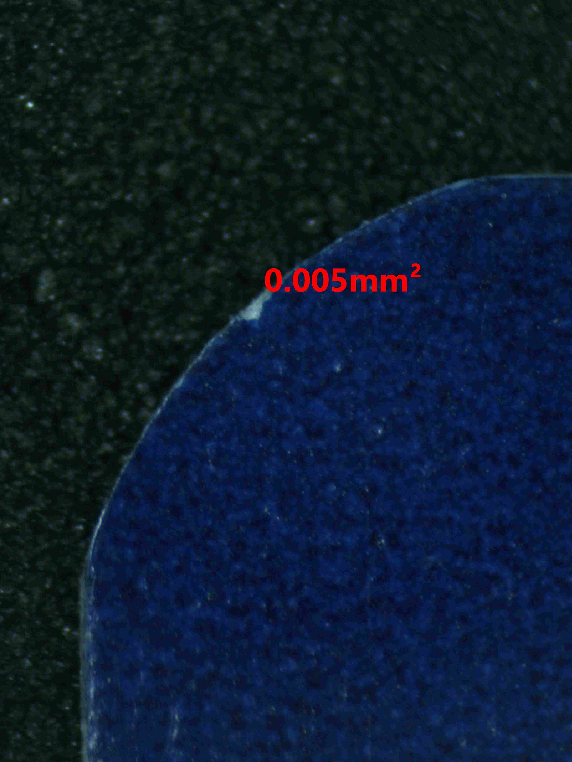 06181 MILOTIC EX Grading Card