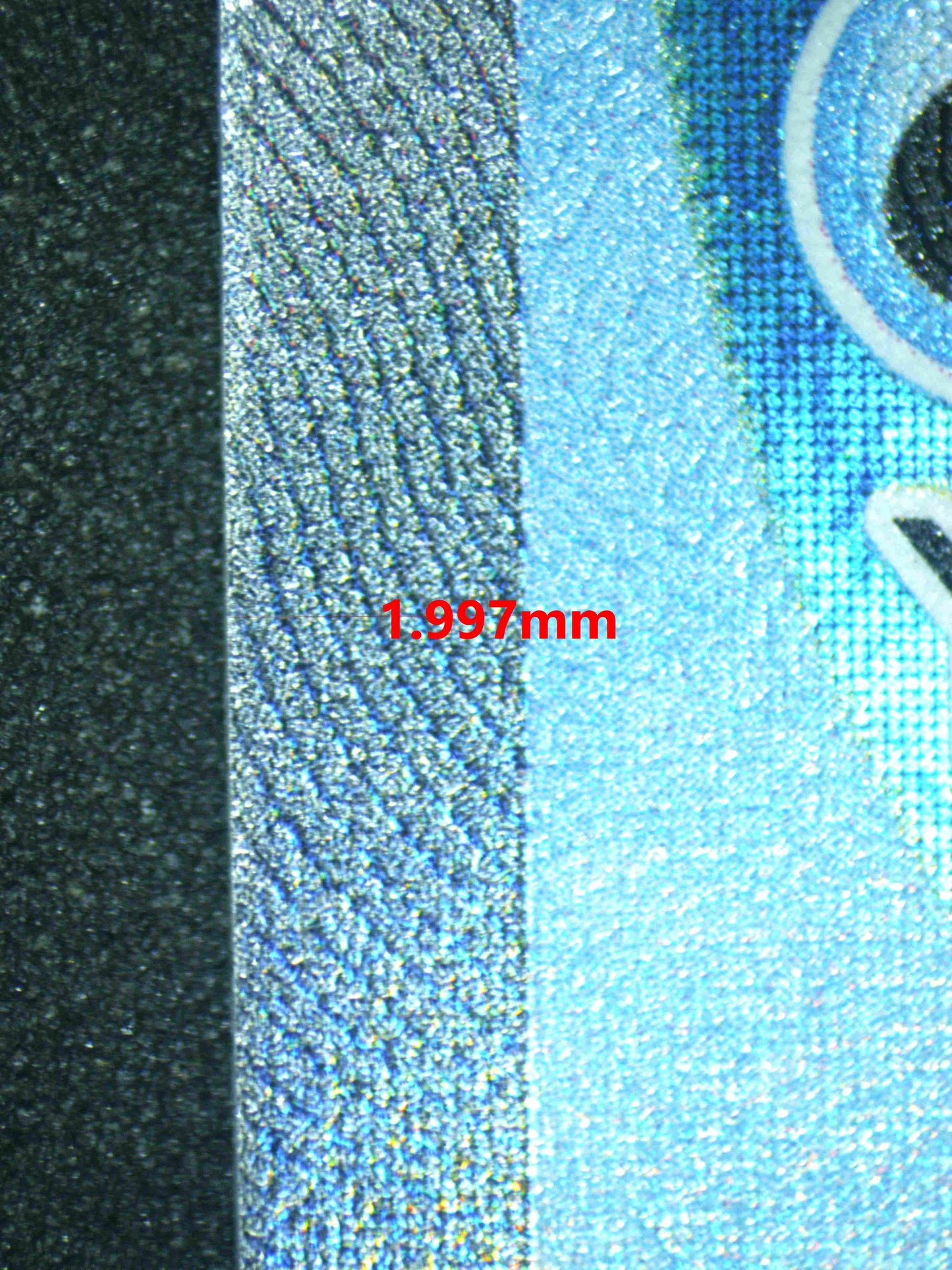 06181 MILOTIC EX Grading Card