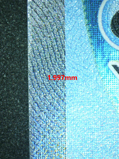 06181 MILOTIC EX Grading Card