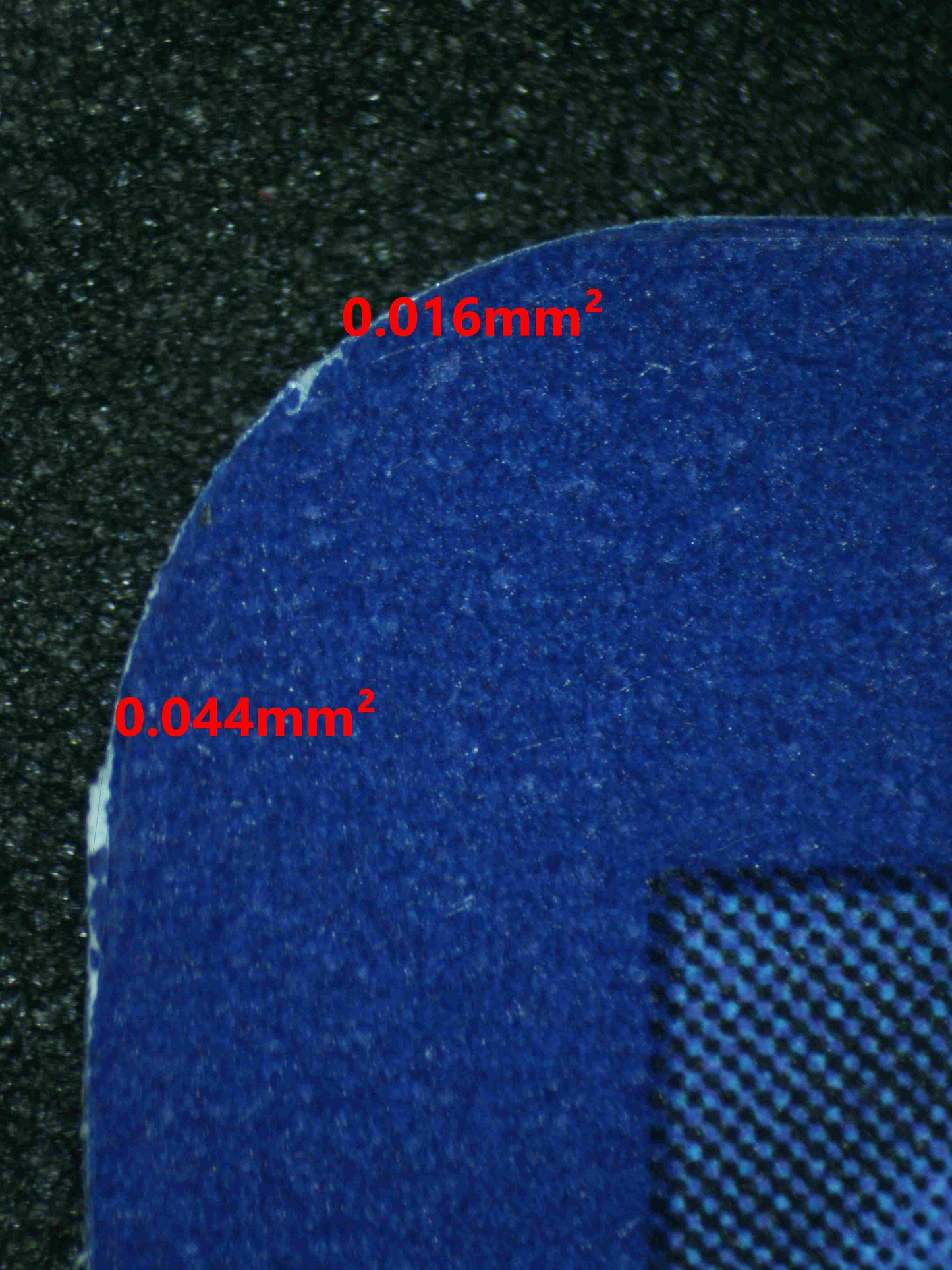 06183 REVAVROOM EX Grading Card