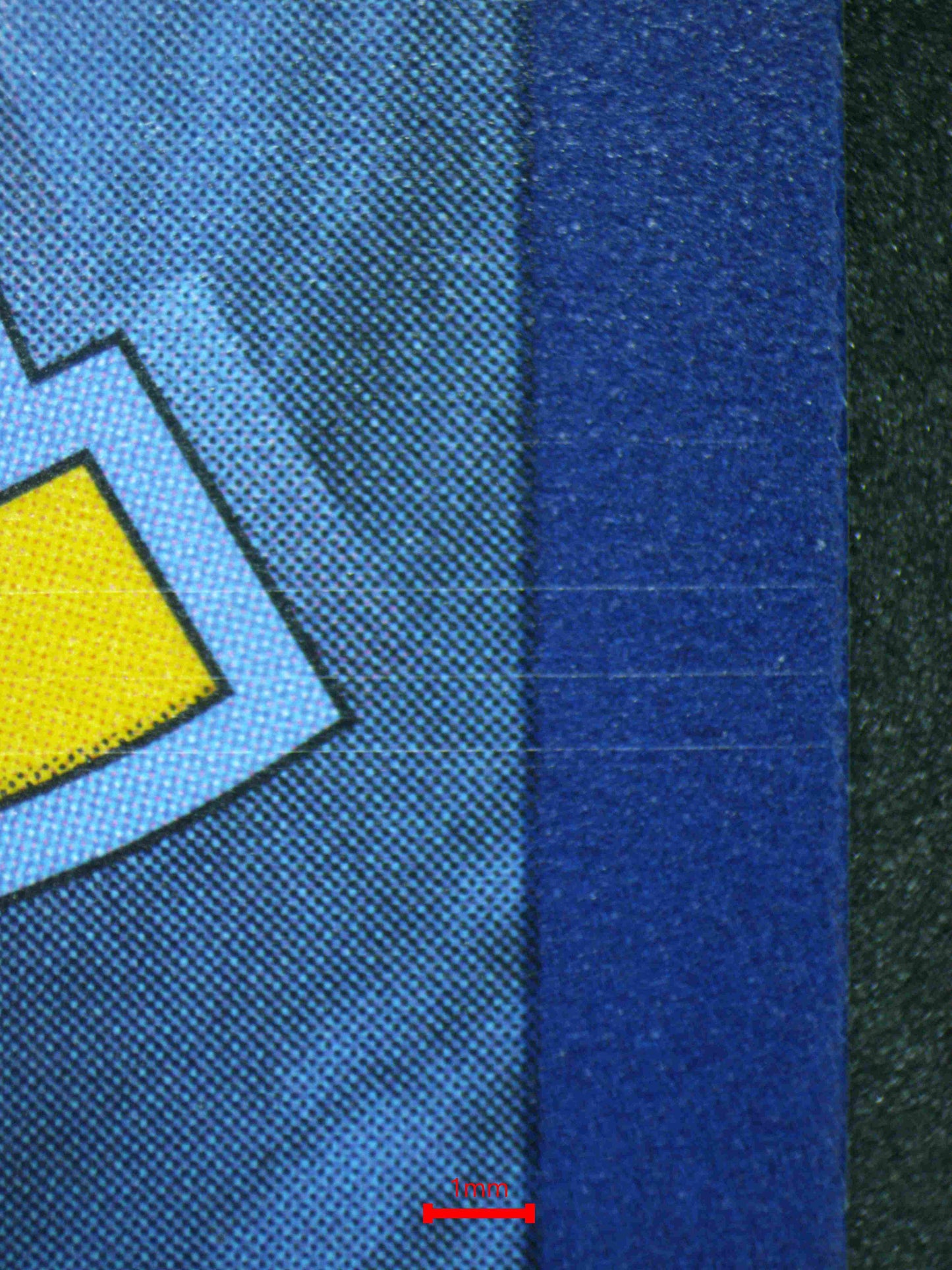 06184 PALAFIN Grading Card