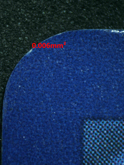 06185 ERIKA'S INVITATION Grading Card