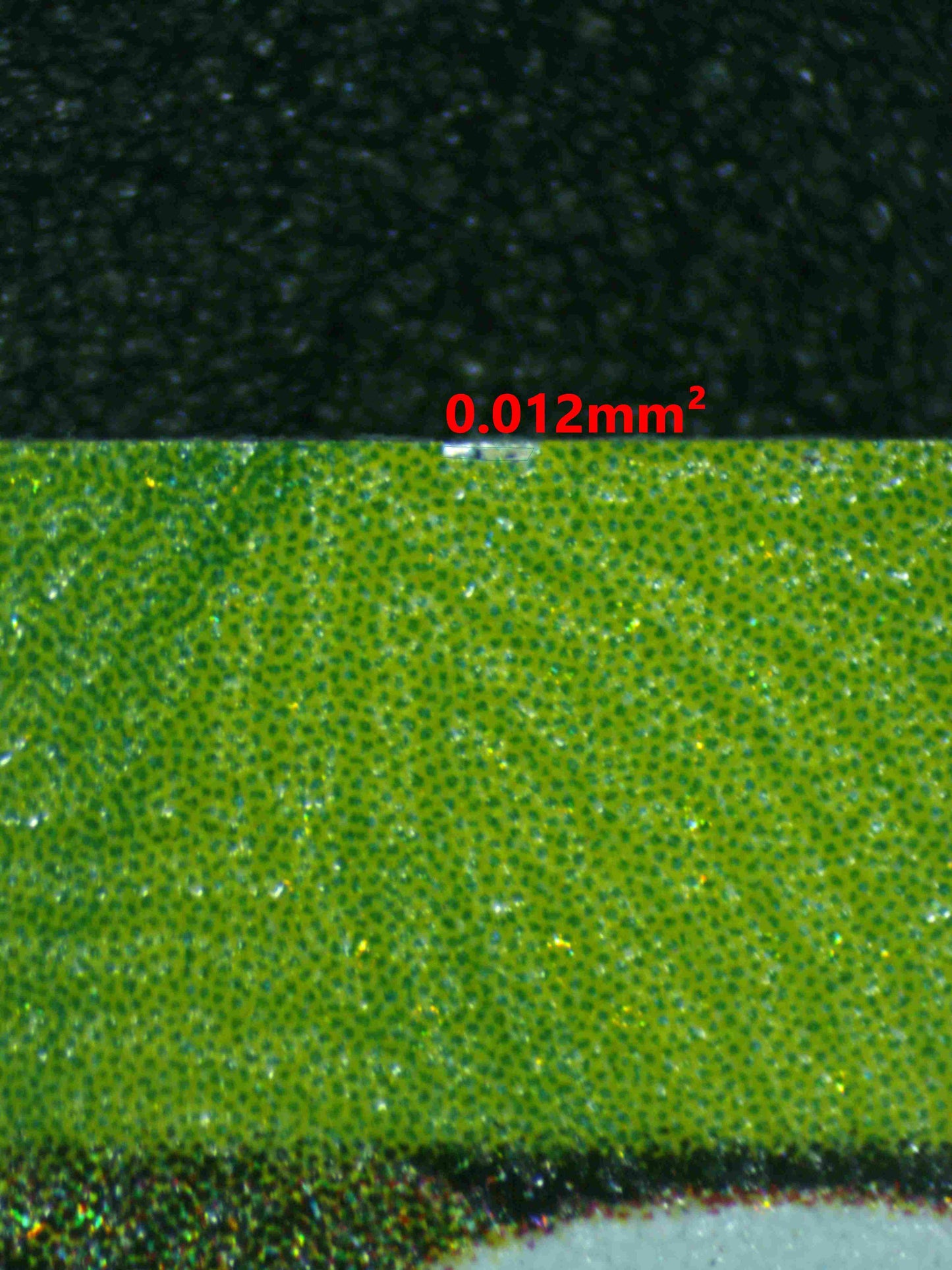 06188 UMBREON EX Grading Card