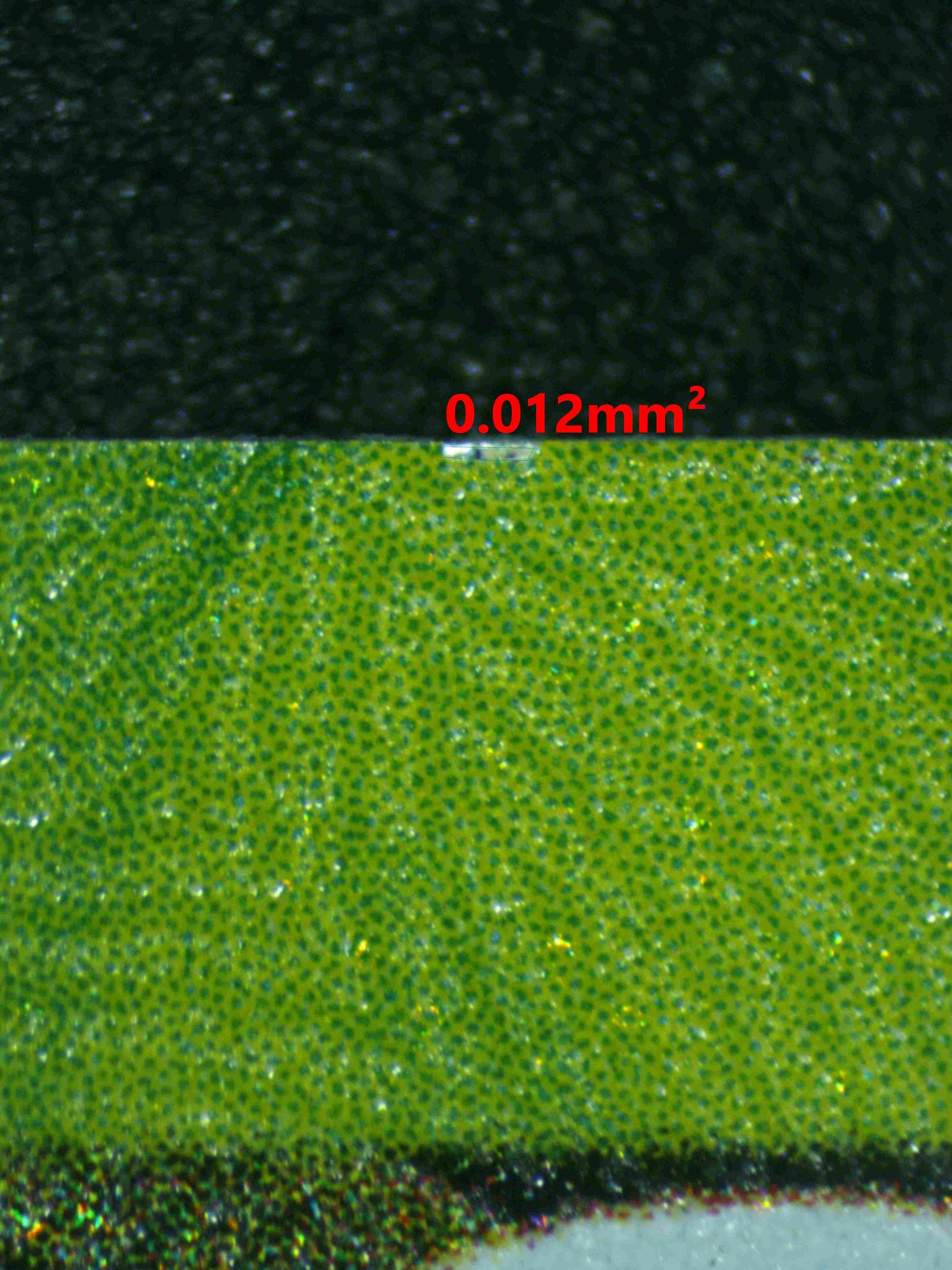 06188 UMBREON EX Grading Card