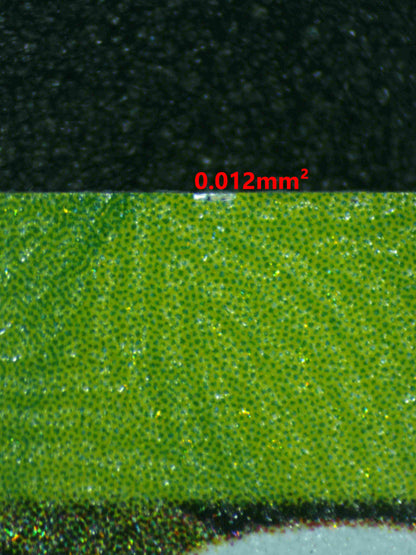 06188 UMBREON EX Grading Card