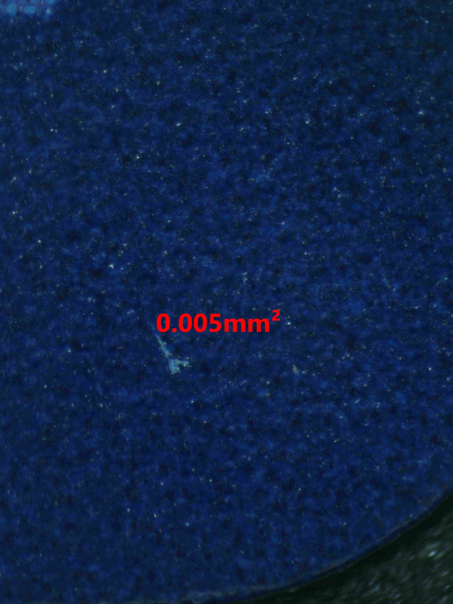 06189 ALOLAN EXEGGUTOR V Grading Card