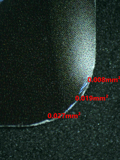 06189 ALOLAN EXEGGUTOR V Grading Card