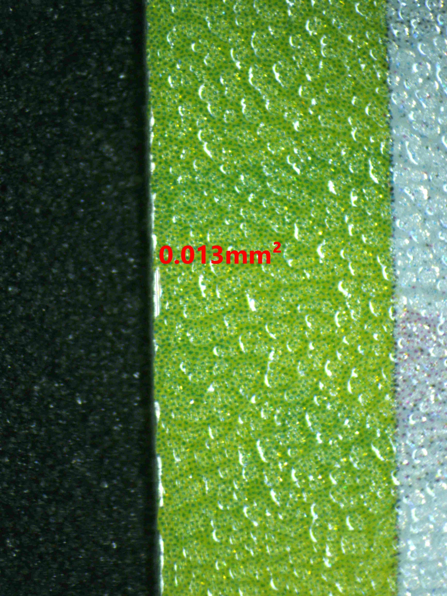 06192 LAPRAS EX Grading Card