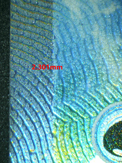 06194 DRAGONITE V Grading Card