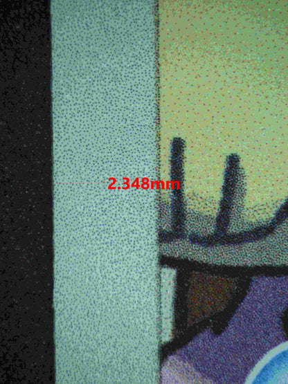 06369 SQUIRTLE Grading Card