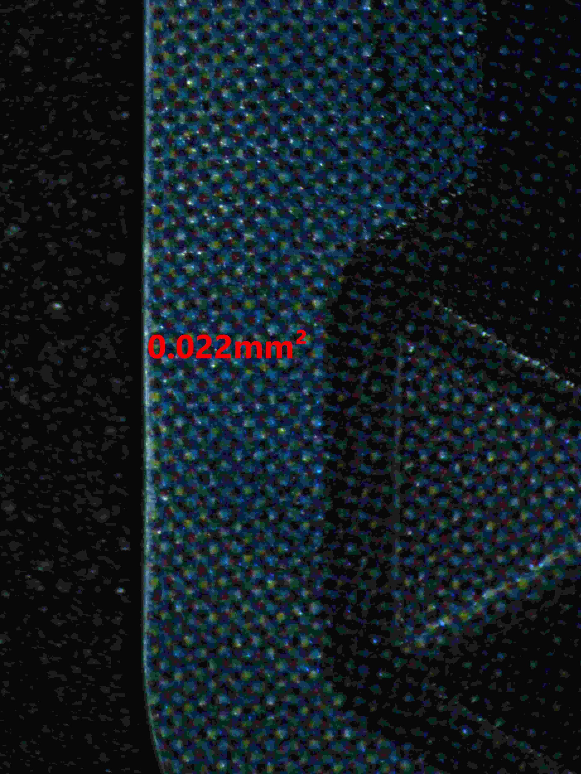 06210 ROB LUCCI (JAPANESE) Grading Card