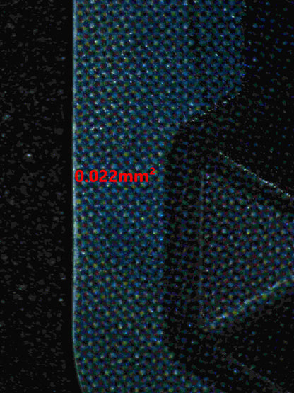 06210 ROB LUCCI (JAPANESE) Grading Card