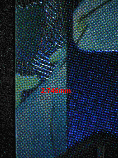 06210 ROB LUCCI (JAPANESE) Grading Card