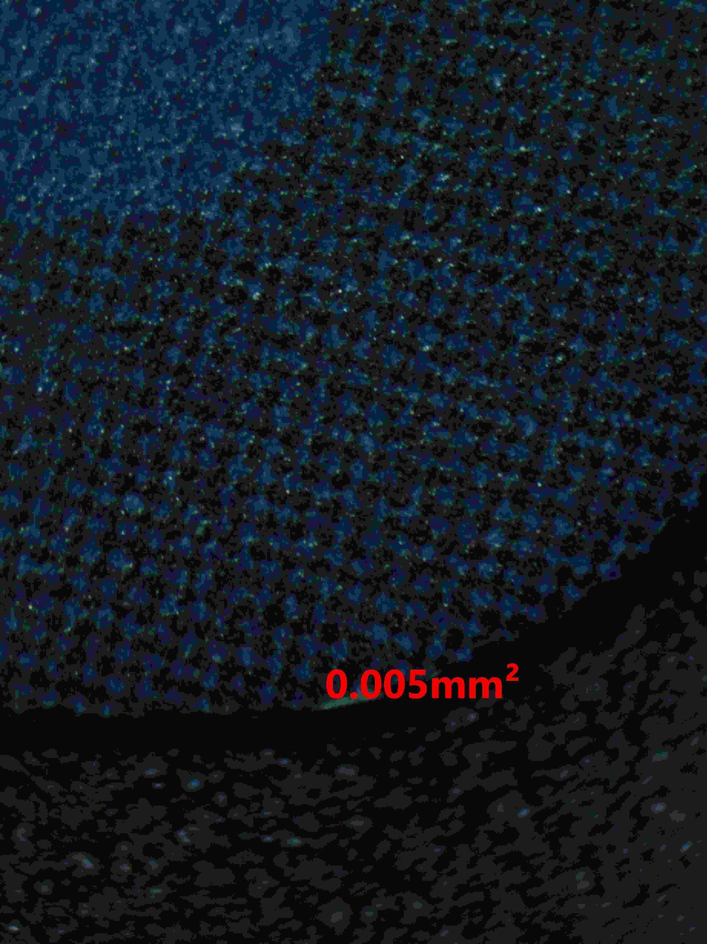 06212 MONKEY.D.LUFFY (JAPANESE) Grading Card