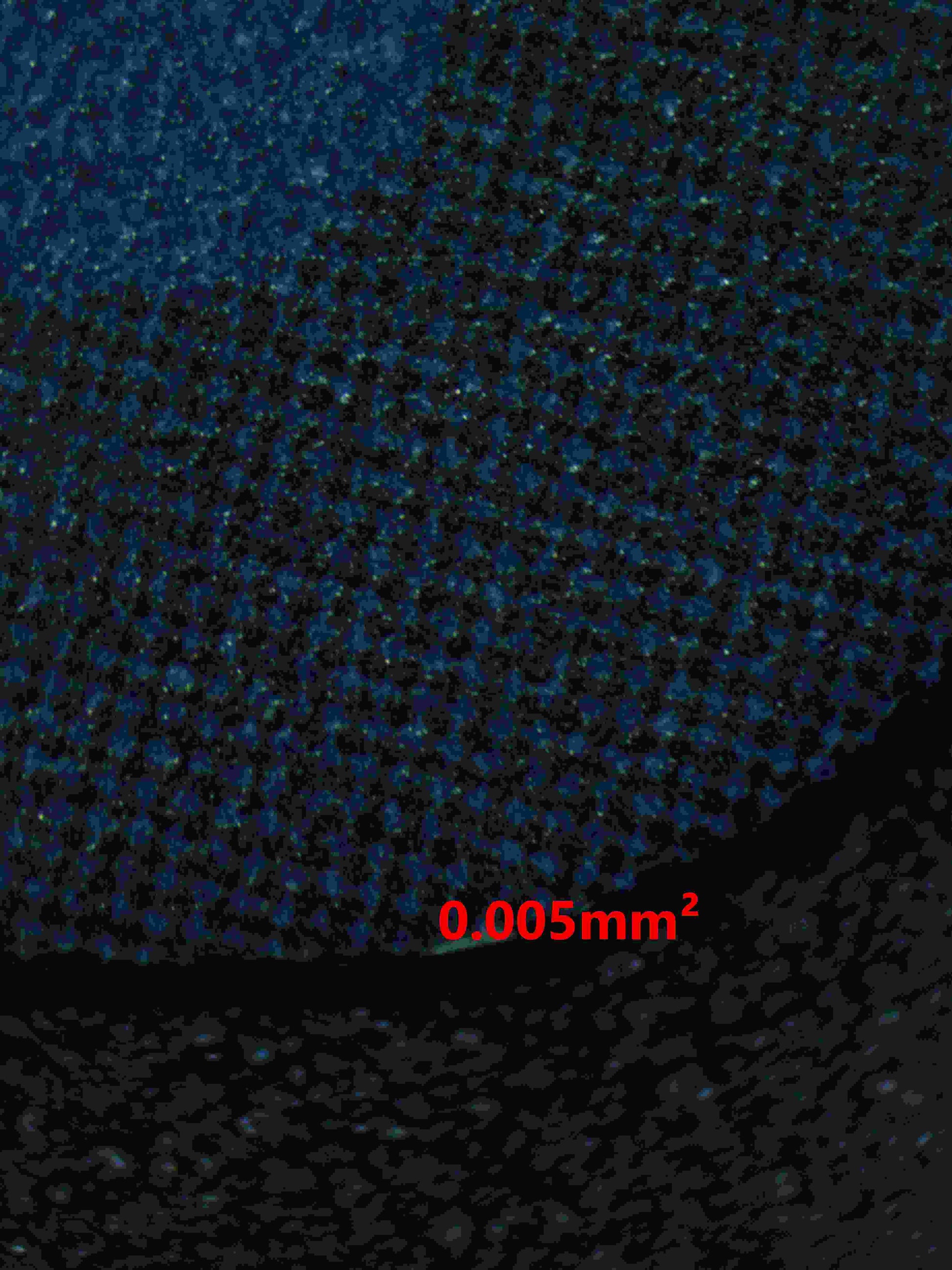 06212 MONKEY.D.LUFFY (JAPANESE) Grading Card