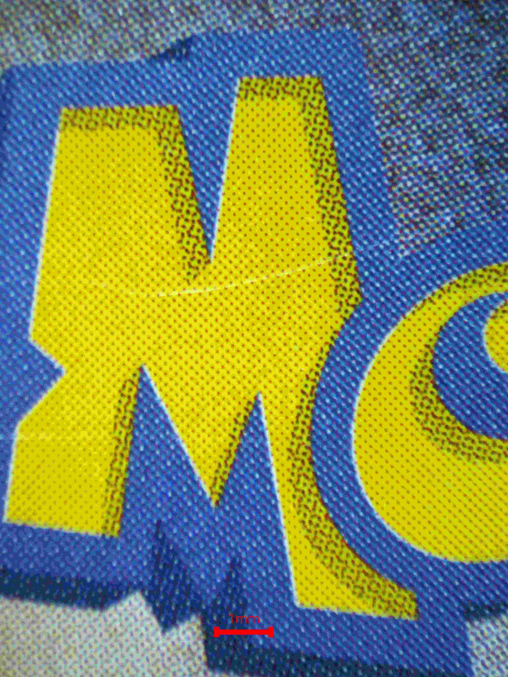 06219 GENGAR EX (JAPANESE) Grading Card