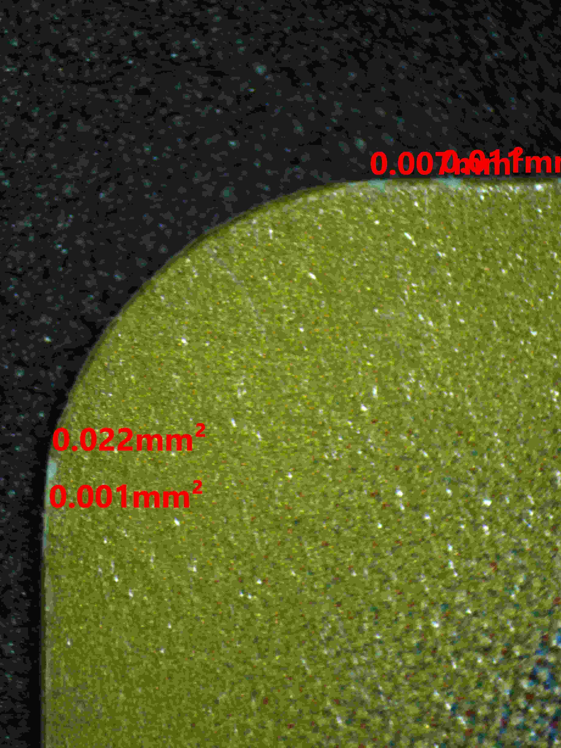 06219 GENGAR EX (JAPANESE) Grading Card