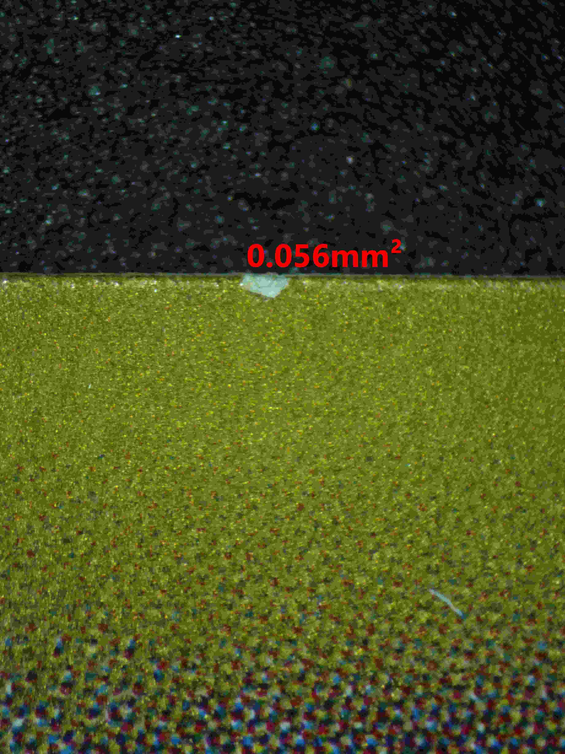 06219 GENGAR EX (JAPANESE) Grading Card