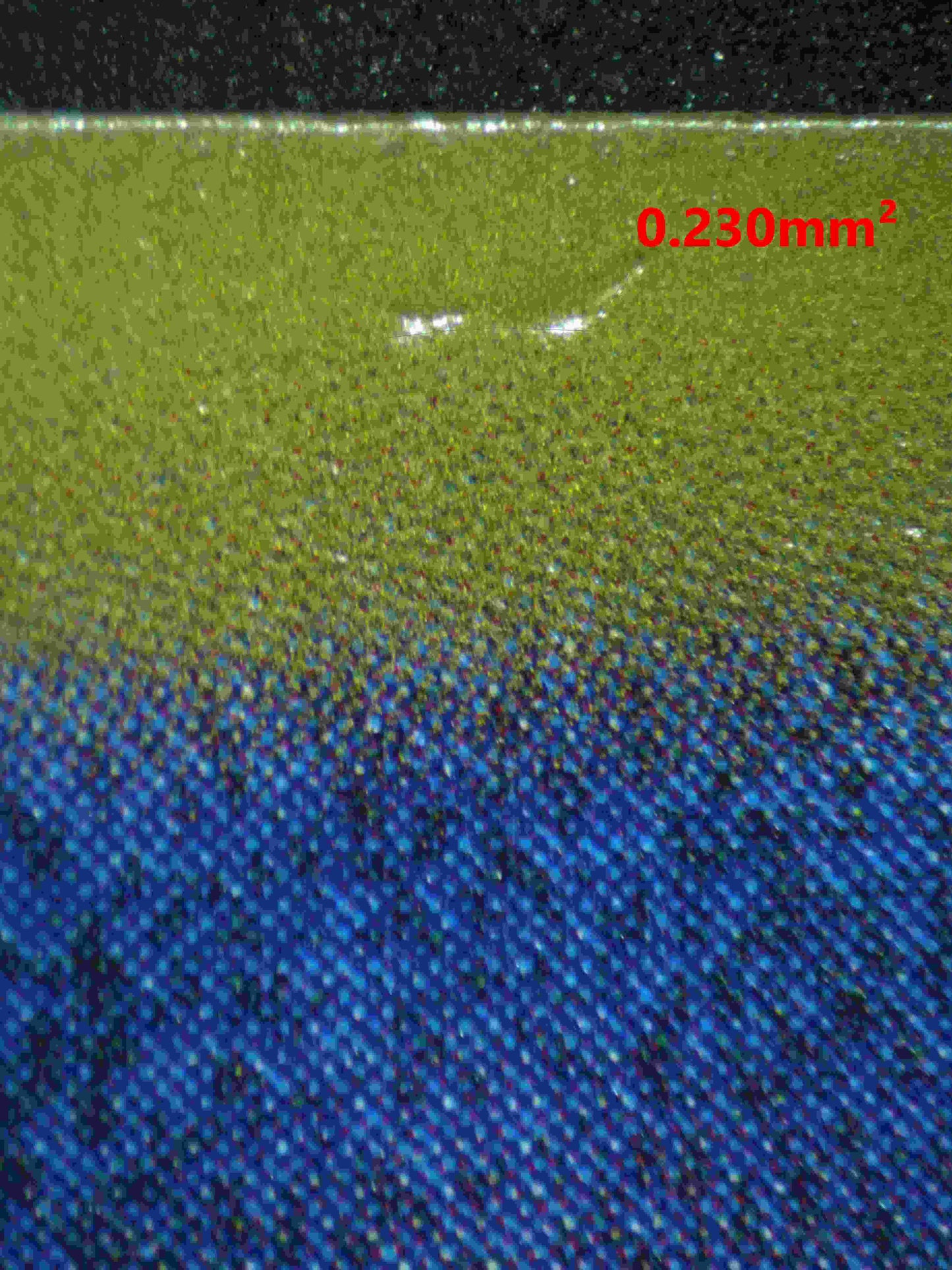 06220 M GENGAR EX (JAPANESE) Grading Card