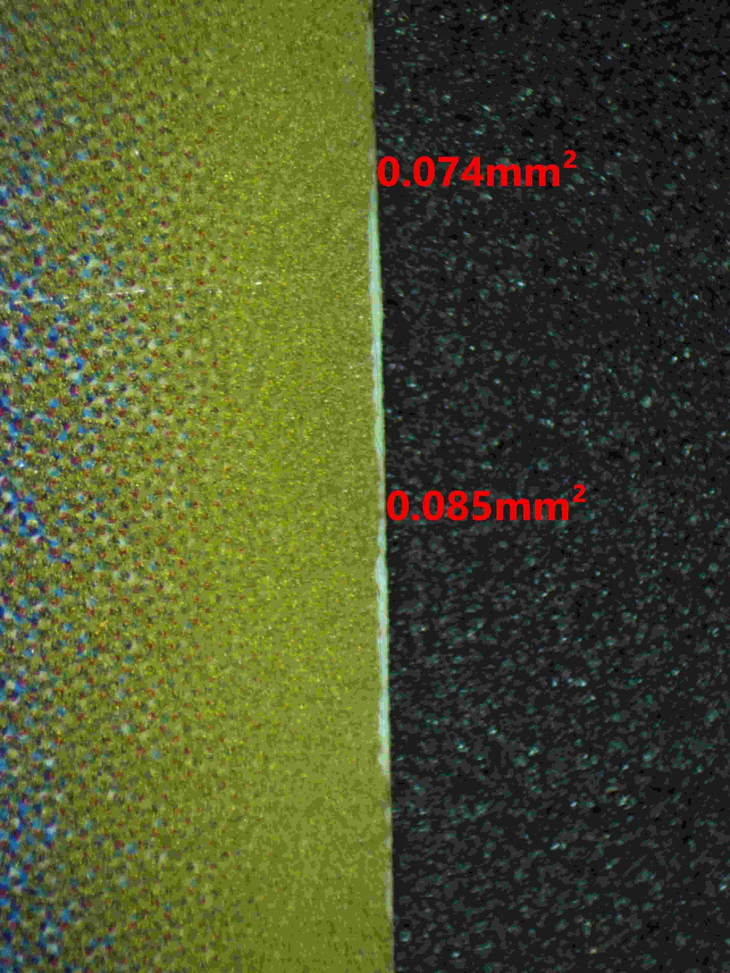 06220 M GENGAR EX (JAPANESE) Grading Card