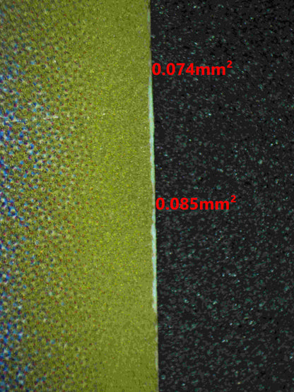 06220 M GENGAR EX (JAPANESE) Grading Card